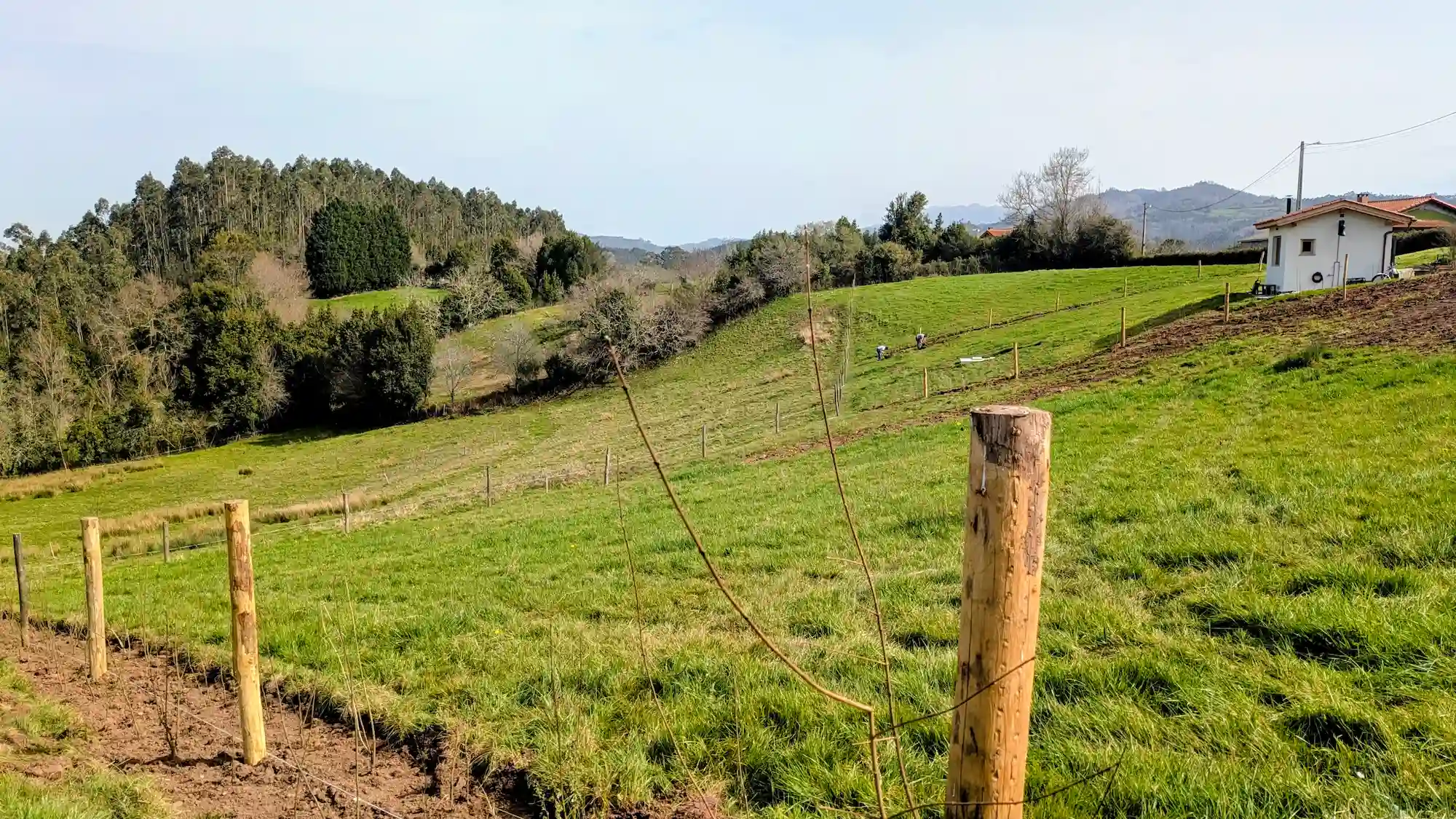 Servicio de limpieza y cierre de fincas en Asturias por Senén Rivero, especialista en gestión forestal y mantenimiento sostenible.